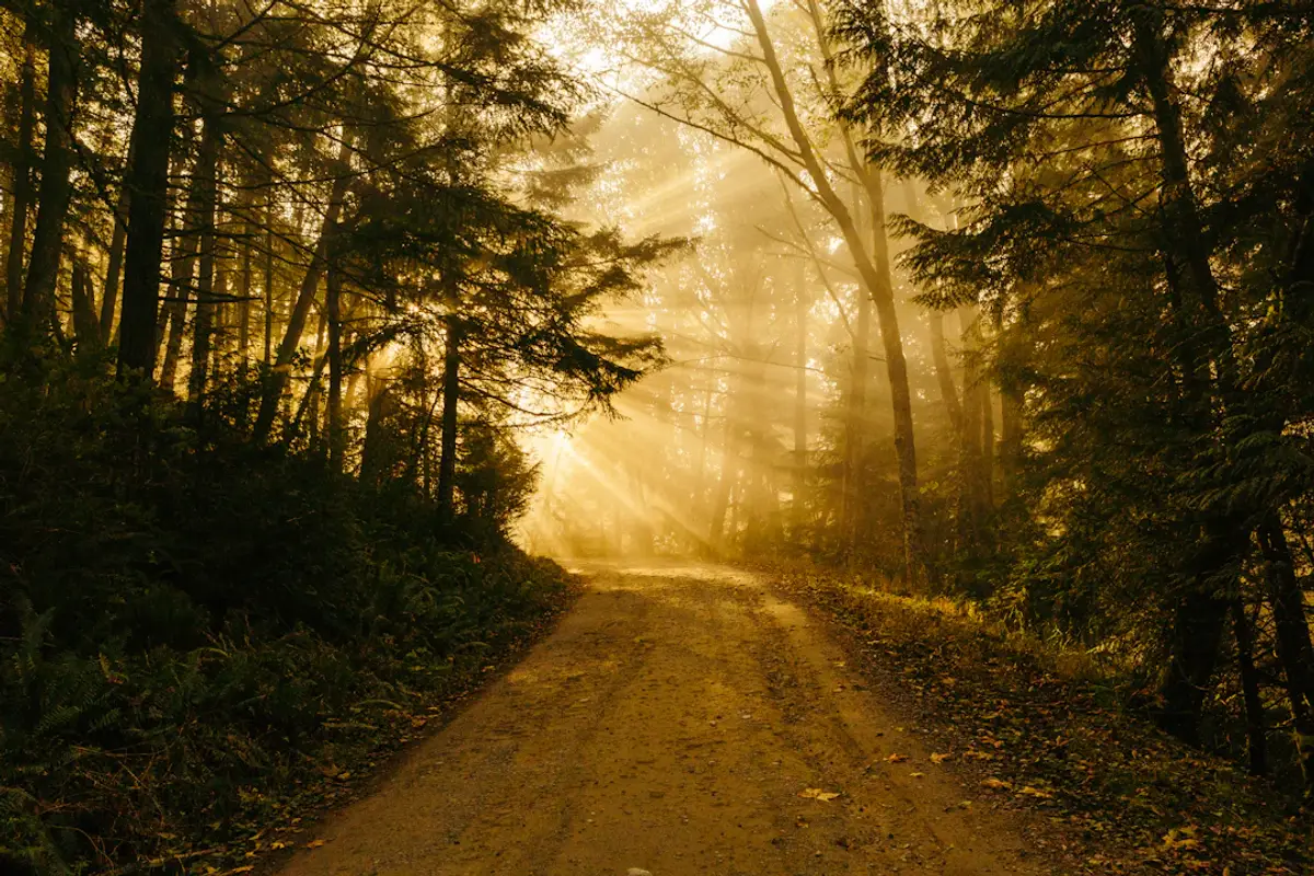 Why Customer Journeys Matter in SaaS